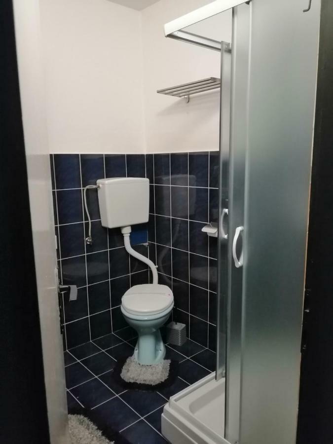 Apartman "Soba Sa Pogledom" Голубац Экстерьер фото