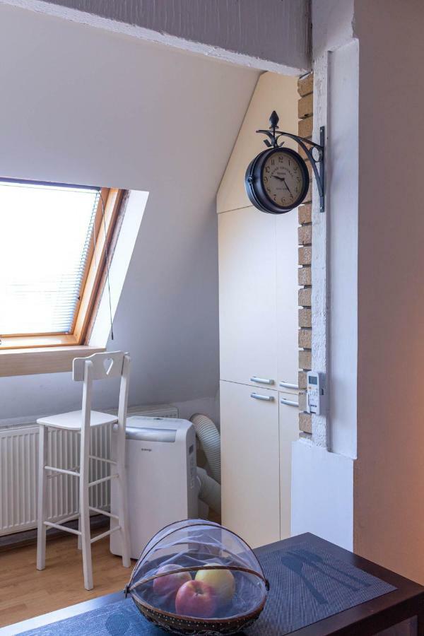 Apartman "Soba Sa Pogledom" Голубац Экстерьер фото
